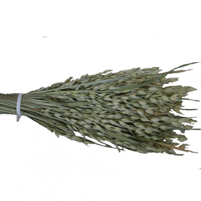 100016000 | AVENA MAZZO 200gr.