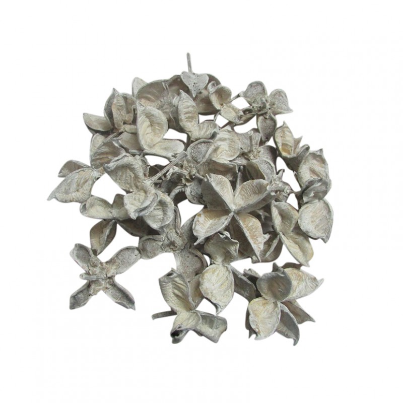 100114048 | BASIC COTTON PODS 150 GR. - bianco