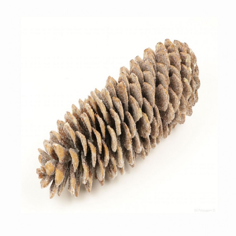 100405456 | PIGNA SUGAR 25/45cm - natural/glitter