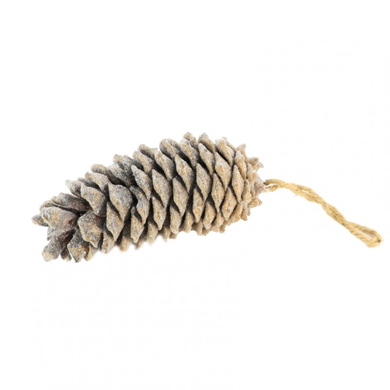 100424456 | PIGNA DA APP. 15-20cm - natural/glitte