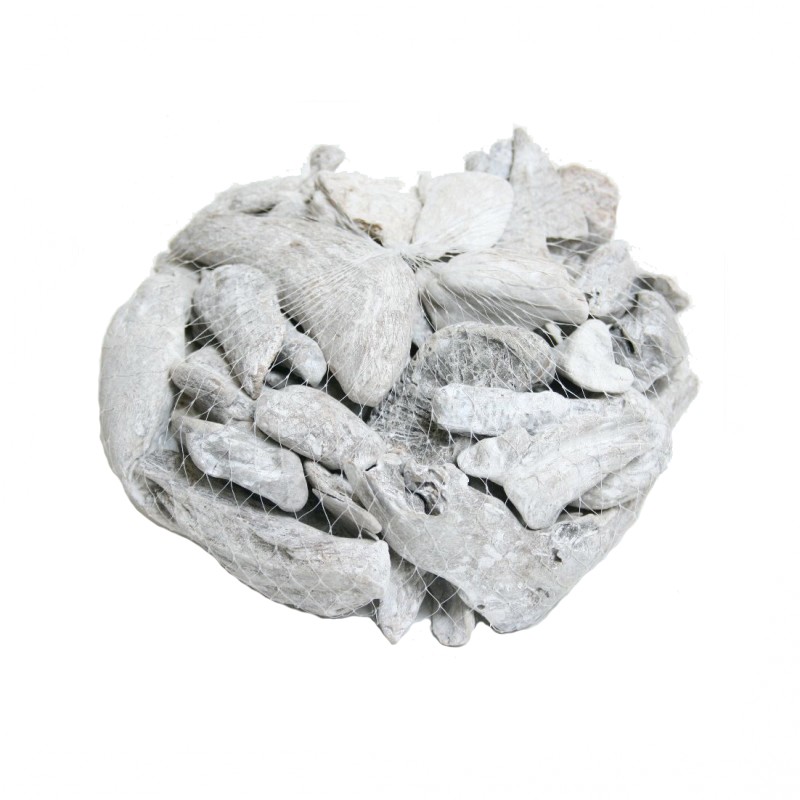10-0916-606 | DRIFTWOOD BUSTA GR. 500