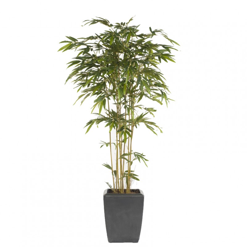 PIANTA BAMBOO X9 H205cm-1280 foglie PN*, 102.180, piante fiori  artificiali piante