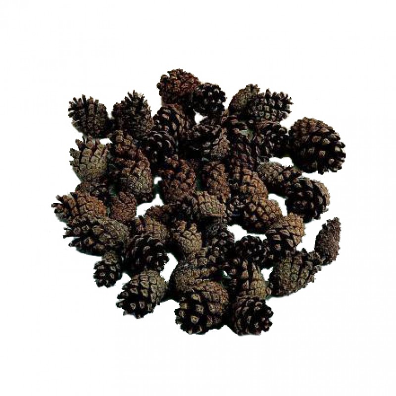 1048N000 | PIGNA SILVESTRE NATURALE BAG 1 KG