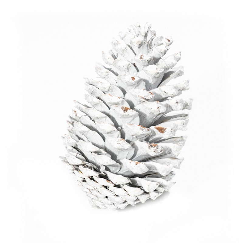 1081W001 | PIGNA MARITTIMA NATURALE BAG 6pz-white w