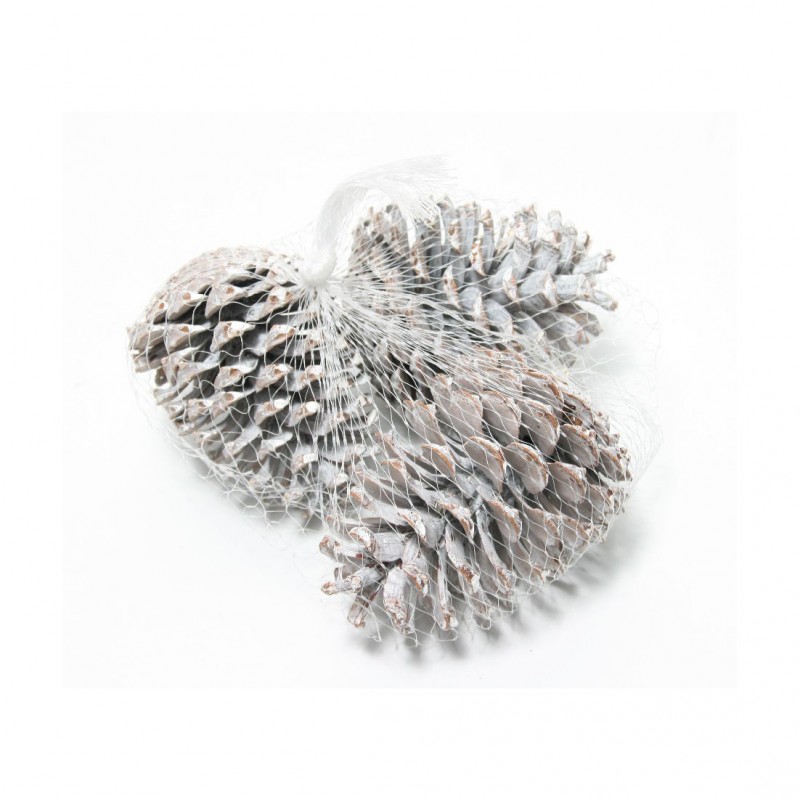 10-9132-606 | PIGNA MARITIMA 10/12cm PZ 15-frosted whi