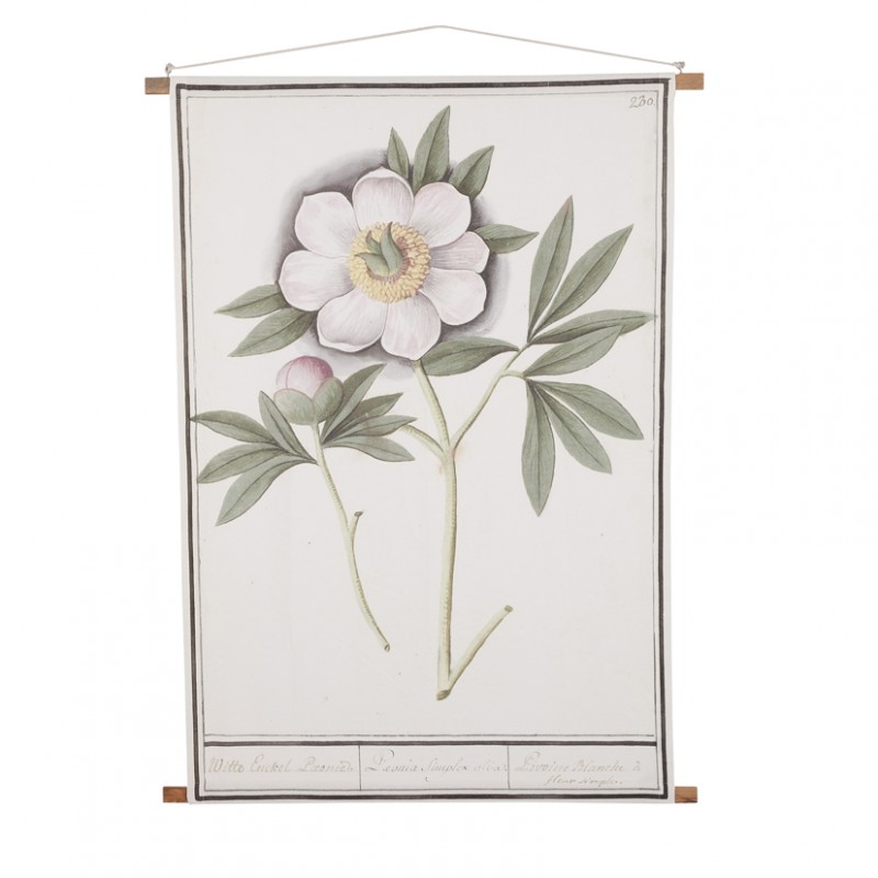 1114095 | PANNELLO ROSITA 140X106 cm