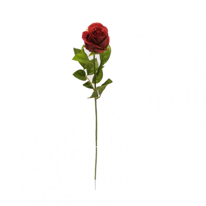 Rosa h58 cm ro -rosso *