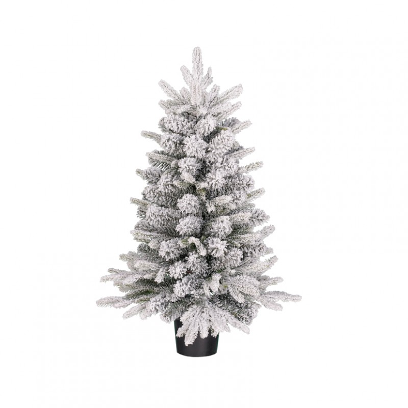 1183866 | ALBERO Grimshaw C/VASO 120tips D61 H90