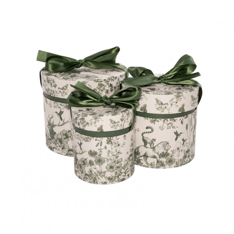 145159 | SCATOLA s/3 d19h17/d16h15/d..h.. verde