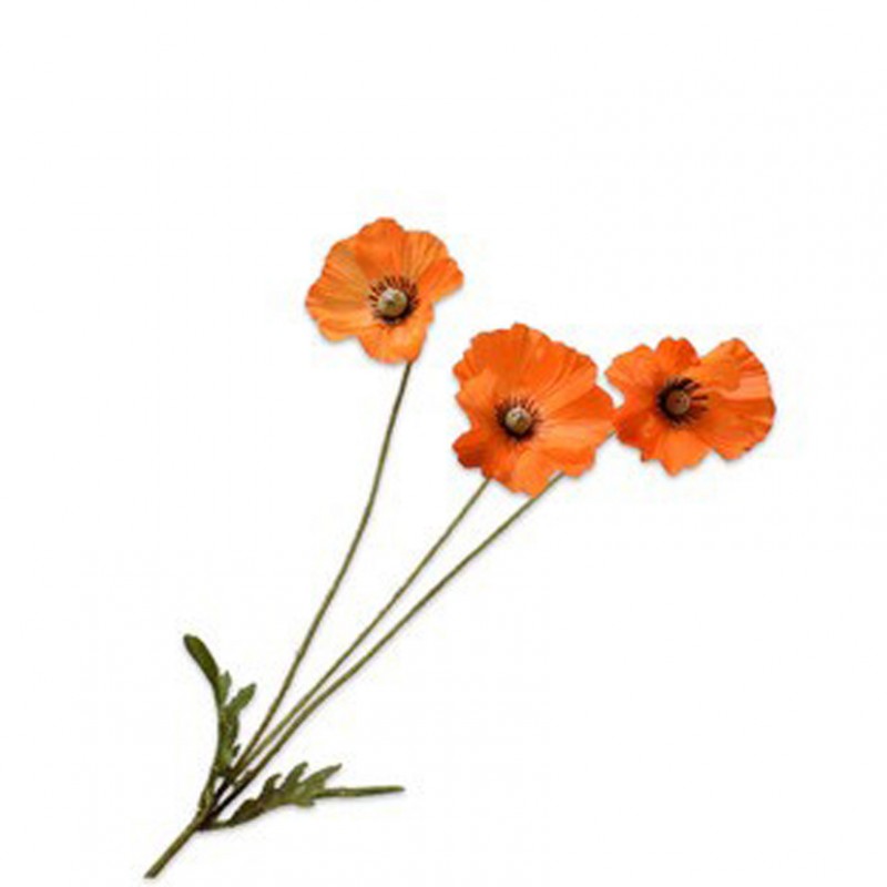 Papavero h81cm si - orange