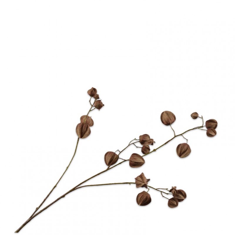 162391 | RAMO PHYSALIS H92cm SI - brown/red