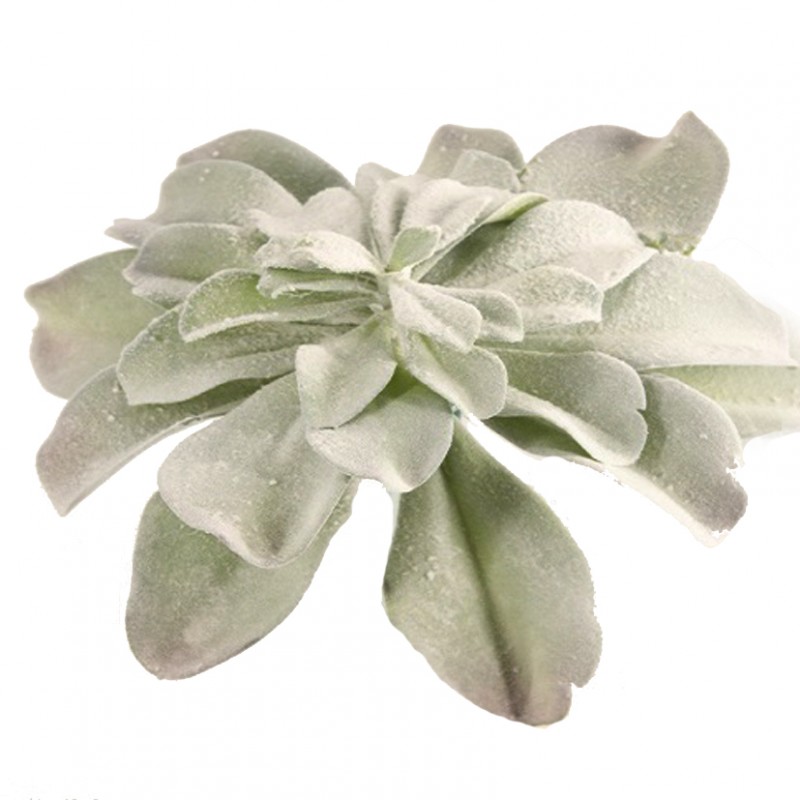 1NIO119 | PIANTA GRASSA 35,5 CM FLOCKED FN