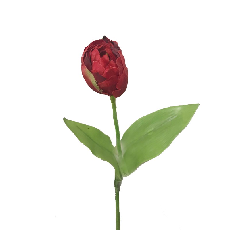 Tulipano h43 cm tu -red *