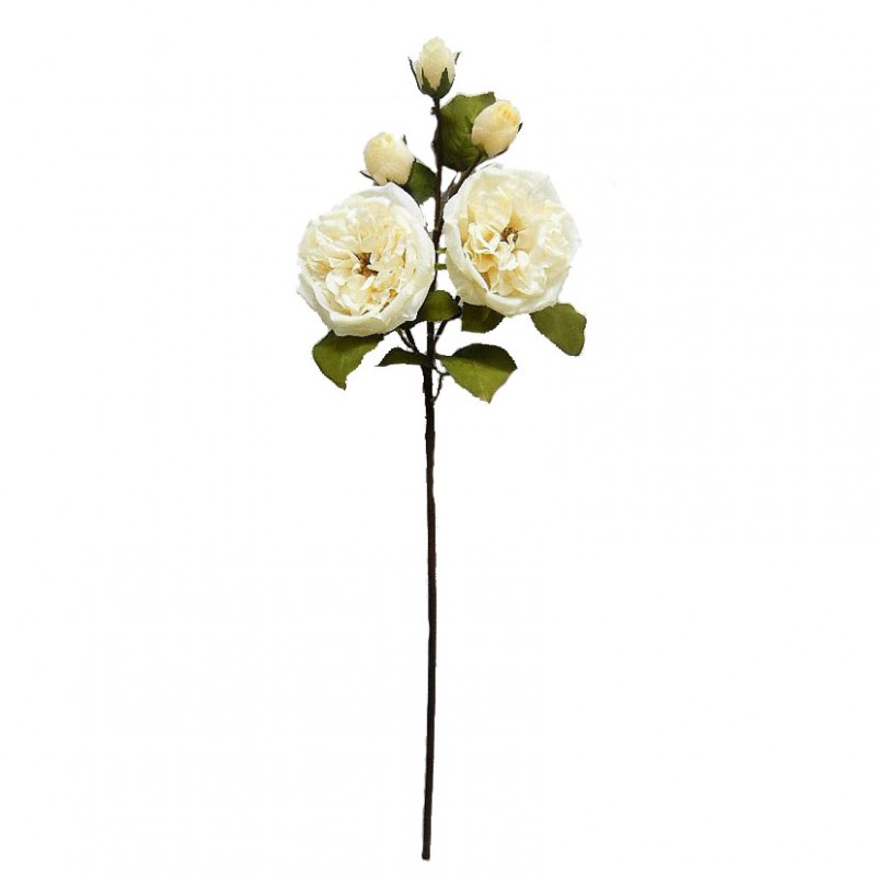 Rose ramo h71 cm ro -cream *