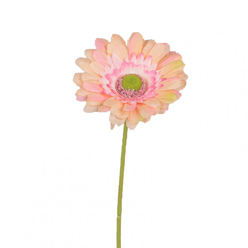 Gerbera h60cm ge - salmon *