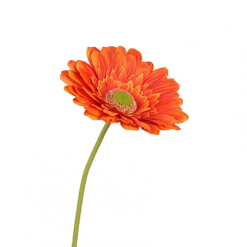 Gerbera h60cm ge - orange *