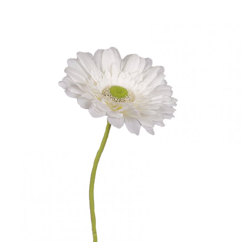 Gerbera h60cm ge - white *