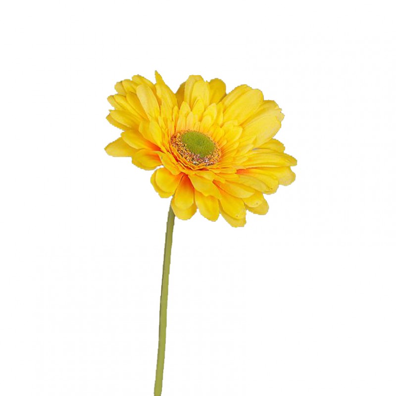 Gerbera h60cm ge - yellow *