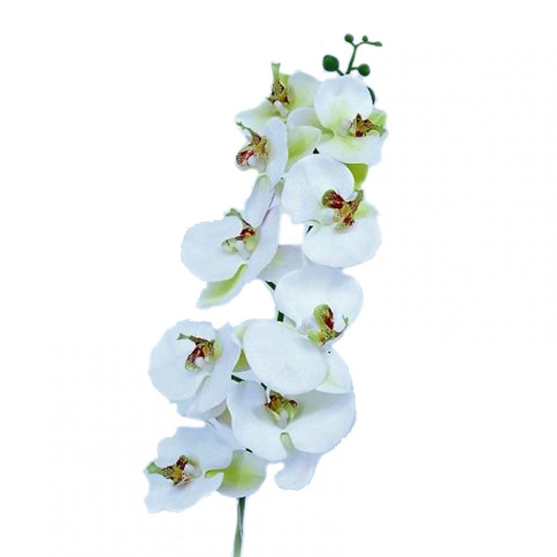 Orchidea x9 h80 cm or -cream green *