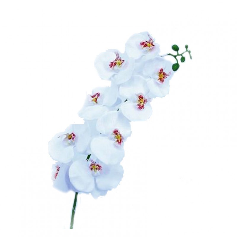 Orchidea x9 h80 cm or -white *