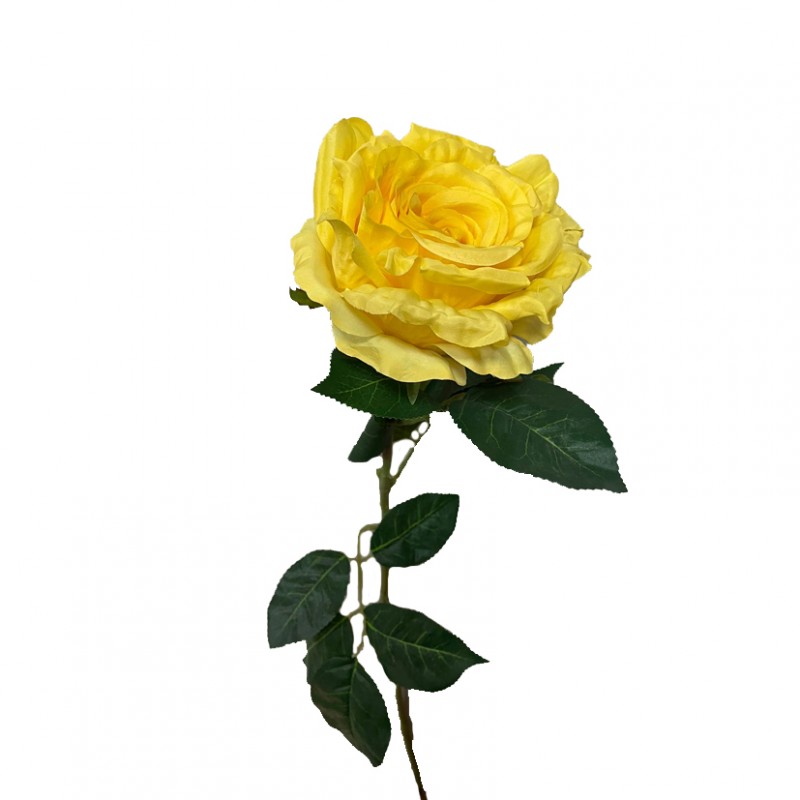 Rosa singola h78 cm ro -giallo *