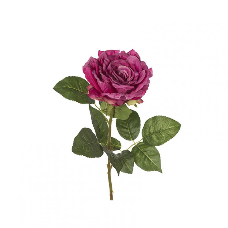 Rosa singola h78 cm ro -fucsia *