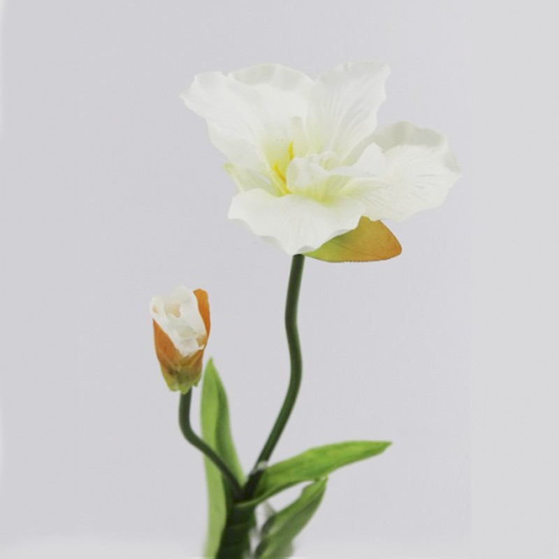Iris h58 cm ir -cream *