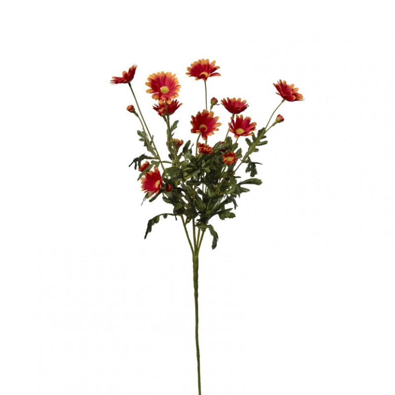 Margherita spray x5 h70cm ma -orange *