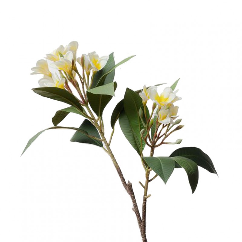 Plumeria ramo h88 pl - cream *