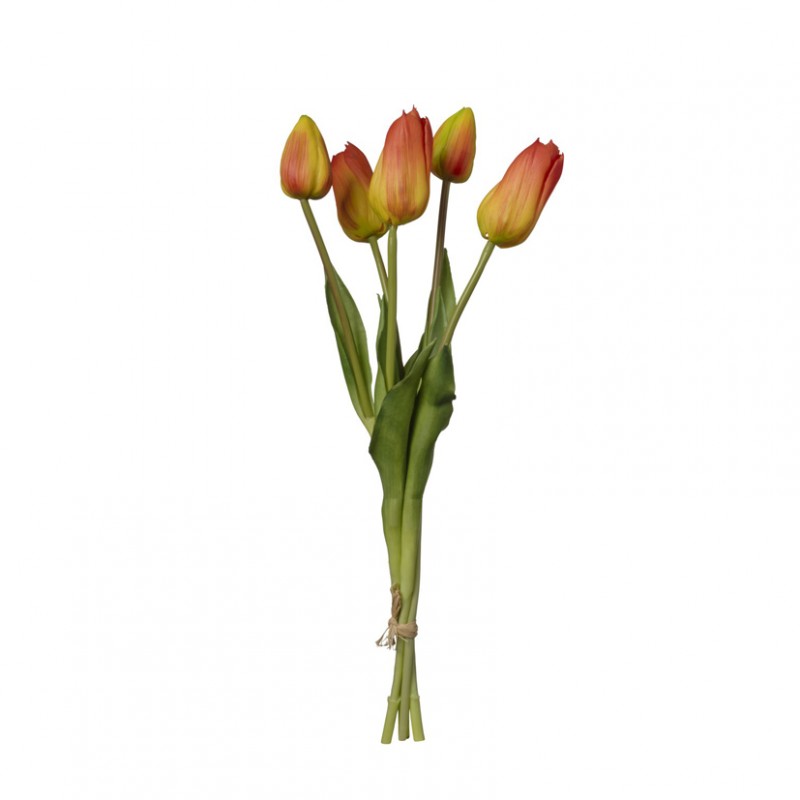 Tulipano mazzo h48 tu - orange *