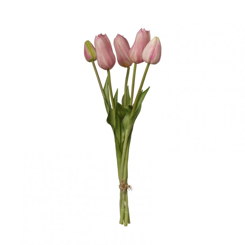 Tulipano mazzo h48 tu - light pink *
