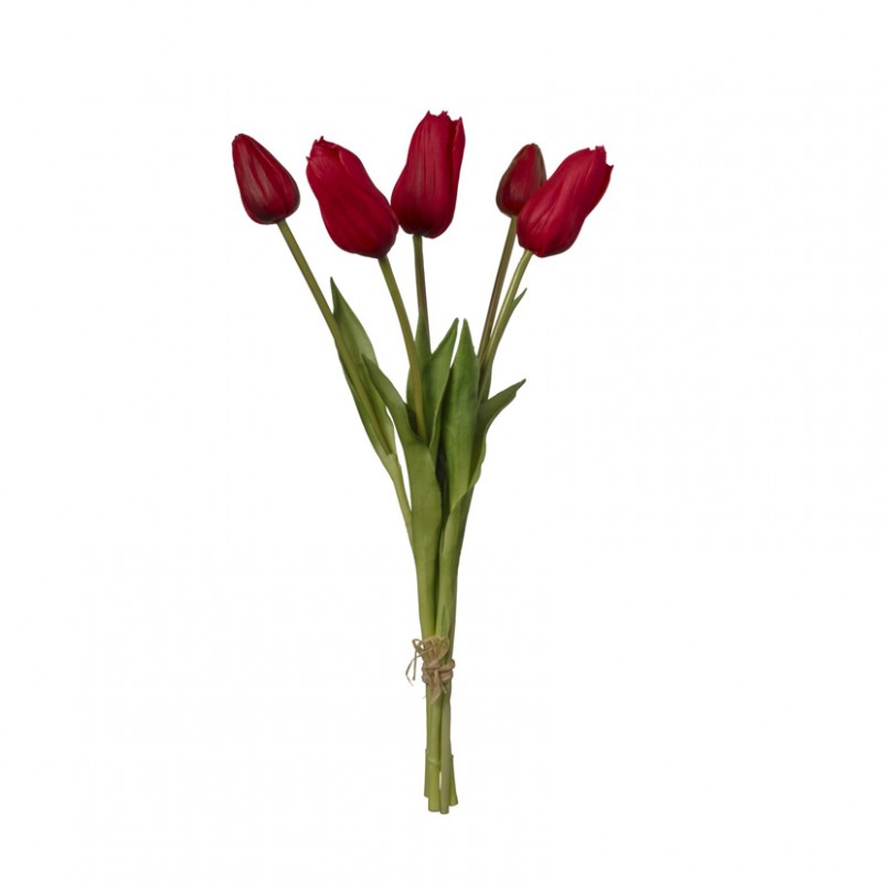 Tulipano mazzo h48 tu - red*