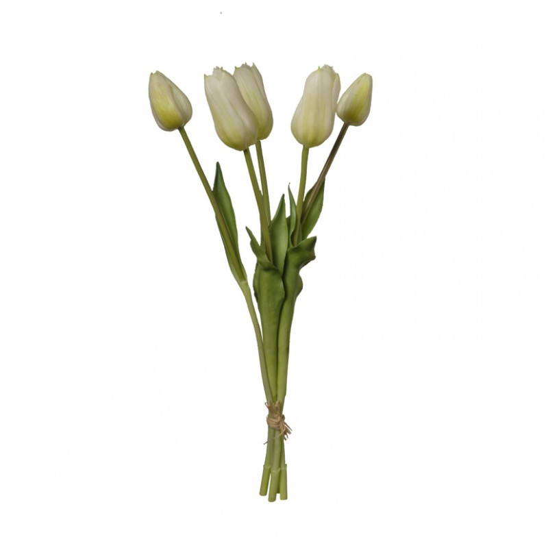 Tulipano mazzo h48 tu - white/green*