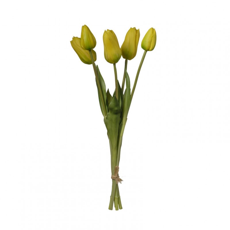 Tulipano mazzo h48 tu - yellow*