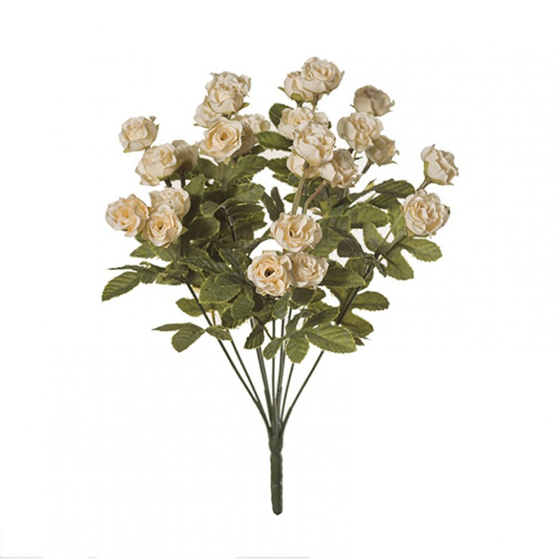 Roselline bush x27 h37cm ro-white *