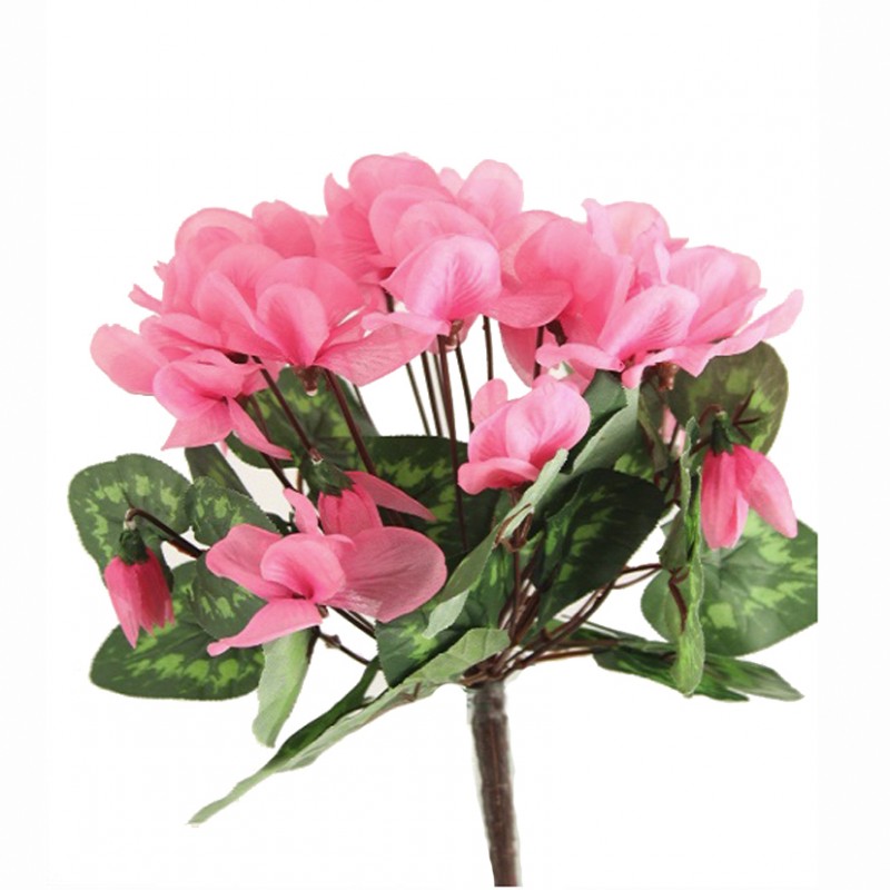 Ciclamino mazzo x24 cm34 ci -pink *