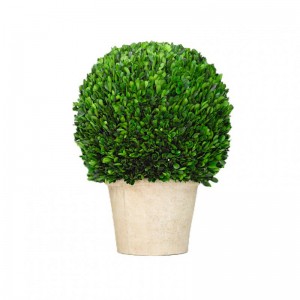 BOSSO STABILIZ. D60 H90 C/VASO D40 H36