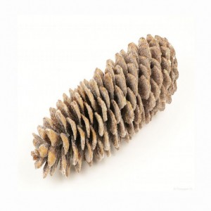 PIGNA SUGAR 25/45cm - natural/glitter