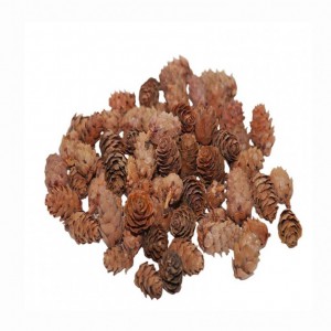 PIGNA BABY SPRUCE 2/3cm 150gr. - natur