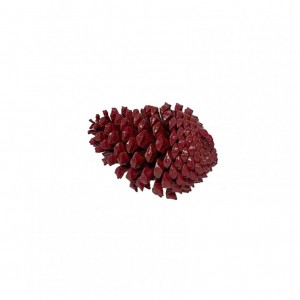 PIGNA MARITTIMA 10/14CM PZ10 -rossa