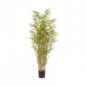 PIANTA BAMBOO CM 180 c/vaso PN *