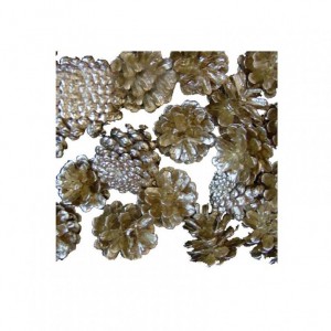 PIGNA AUSTRIACA 500gr - oro