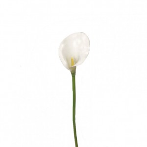 CALLA LILY H50 cm CA - white*