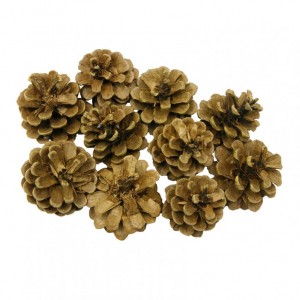 PIGNA AUSTRIACA KG 1 - natural