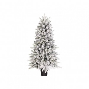 ALBERO Grimshaw C/VASO 206tips D60 H120