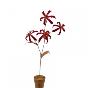 GLORIOSA IN VASO H41 CM SI oro/rosso