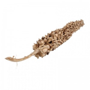 STELO COCO TORCH H 200 cm  - natural