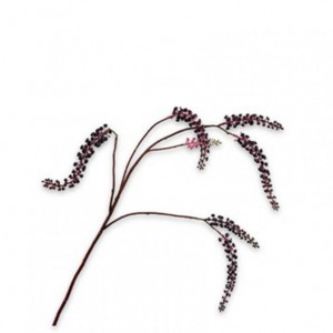 BACCA RAMO H95cm SI - purple