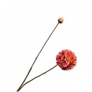 DAHLIA H86cm SI - orange