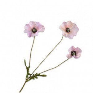 PAPAVERO H81cm SI - light pink